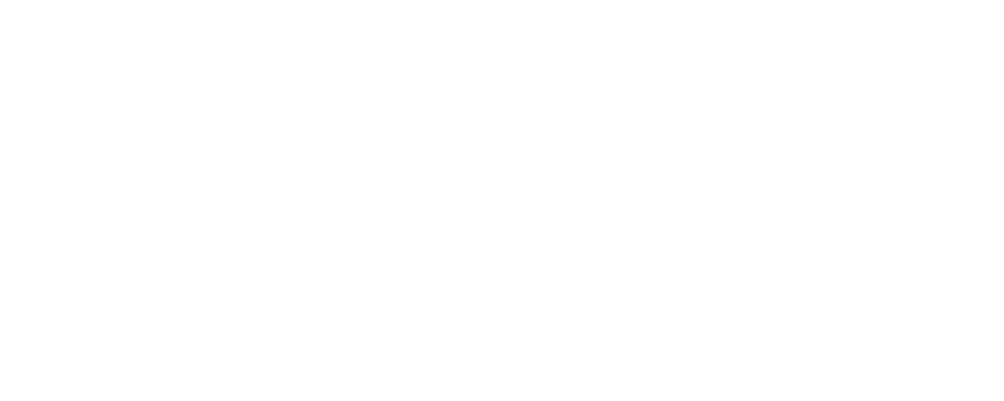 Success Foundation